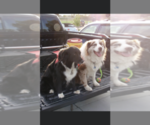 Small #7 Breeder Profile image