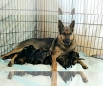 Small #3 Breeder Profile image