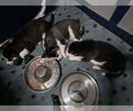Small #7 Breeder Profile image
