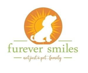 Poochon Dog Breeder in NEOSHO,  USA