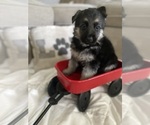 Small #2 Breeder Profile image