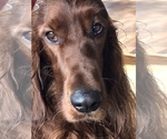 Small #2 Breeder Profile image