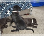 Small #11 Breeder Profile image