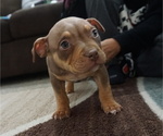 Small #6 Breeder Profile image