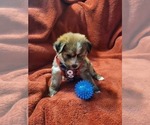 Small #2 Breeder Profile image