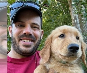 Golden Retriever Dog Breeder near CANEYVILLE, KY, USA