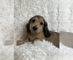 Small #10 Breeder Profile image