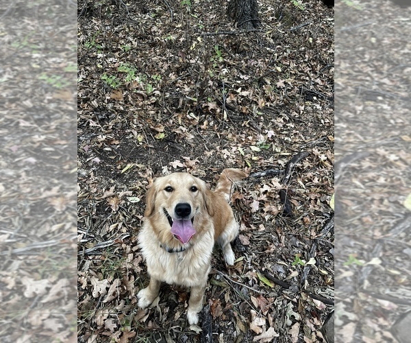 Medium Photo #68  Breeder Profile in FREDONIA, KS, USA