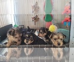 Small #318 Breeder Profile image