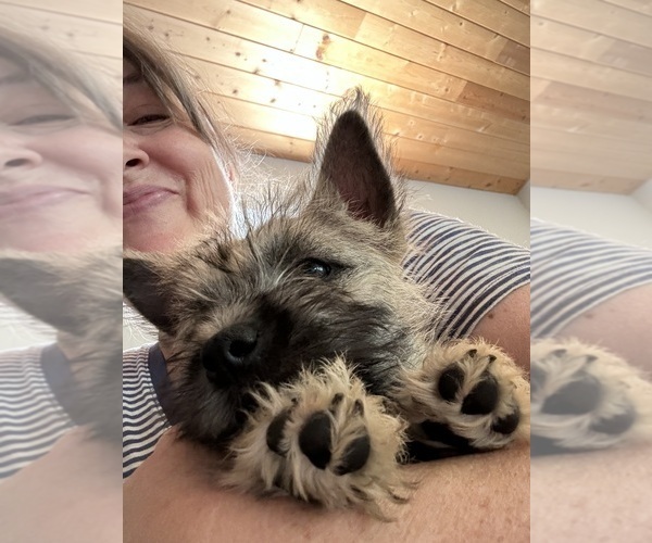 Medium Photo #19  Breeder Profile in FAIR OAKS, CA, USA