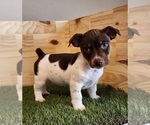 Small #35 Breeder Profile image