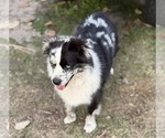 Small #2 Breeder Profile image