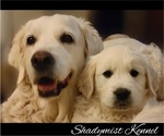 Small #3 Breeder Profile image