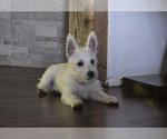 Small #7 Breeder Profile image