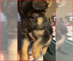 Small #6 Breeder Profile image