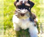 Small Photo #1  Breeder Profile in GREELEY, CO, USA