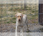 Small #13 Breeder Profile image