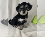 Small #11 Breeder Profile image