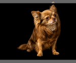Small #8 Breeder Profile image