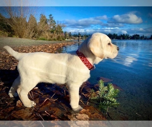 Medium Photo #1  Breeder Profile in OCALA, FL, USA