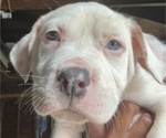 Small #7 Breeder Profile image