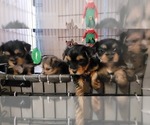 Small #328 Breeder Profile image
