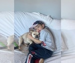 Small #28 Breeder Profile image