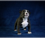 Small #2 Breeder Profile image