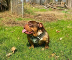Small #3 Breeder Profile image
