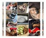 Small #5 Breeder Profile image