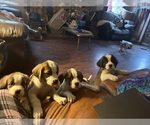 Small #7 Breeder Profile image