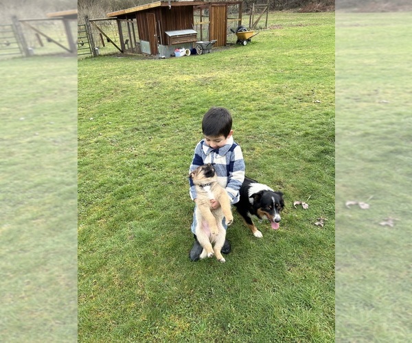 Medium Photo #18  Breeder Profile in DEMING, WA, USA