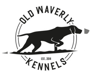 Main photo of German Shorthaired Pointer Dog Breeder near NEW WAVERLY, TX, USA