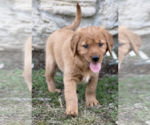 Small #3 Breeder Profile image