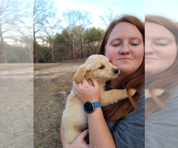 Medium Photo #1  Breeder Profile in COLLINSVILLE, MS, USA