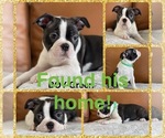 Small #9 Breeder Profile image
