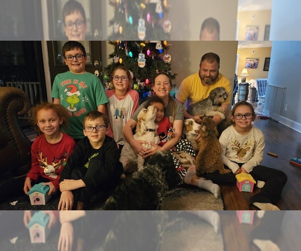 Medium Photo #1  Breeder Profile in MOUNT OLIVE, NC, USA