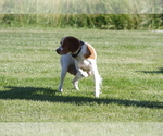 Small #3 Breeder Profile image