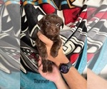 Small #74 Breeder Profile image