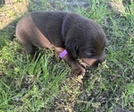 Small #3 Breeder Profile image