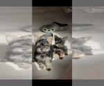 Small #13 Breeder Profile image