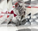 Small #6 Breeder Profile image