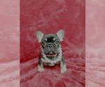 Small #23 Breeder Profile image