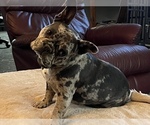 Small #27 Breeder Profile image