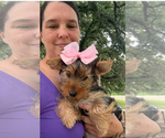 Small #4 Breeder Profile image