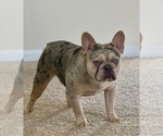 Small #4 Breeder Profile image
