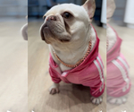 Small #6 Breeder Profile image