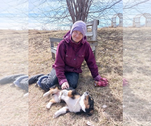 Medium Photo #1  Breeder Profile in SHEBOYGAN FALLS, WI, USA