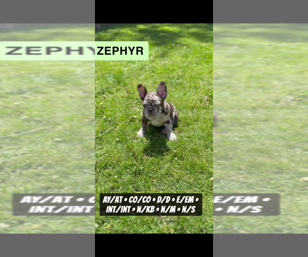 Medium Photo #9  Breeder Profile in MUNSTER, IN, USA