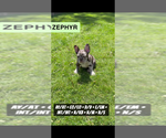 Small #8 Breeder Profile image